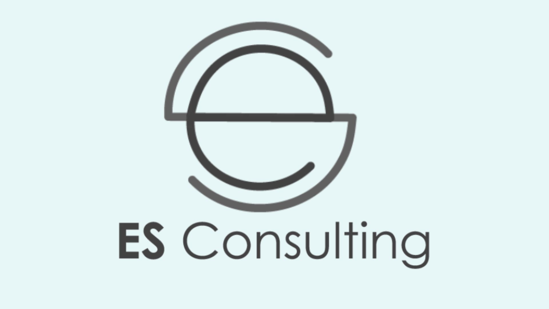 Es consulting